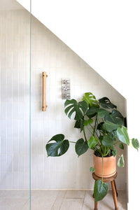 The Everyday Grab Rail (Compact)